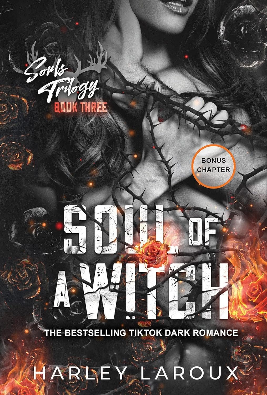 Soul of a Witch: A Spicy Dark Demon Romance (Souls Trilogy) 1 Soul of a Witch: A Spicy Dark Demon Romance (Souls Trilogy)