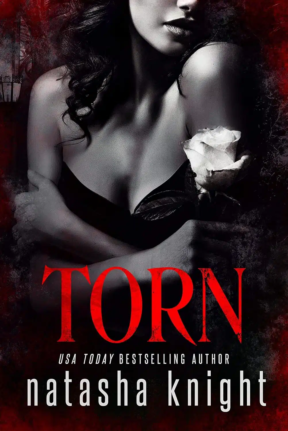 Torn (Dark Legacy Trilogy Book 2)