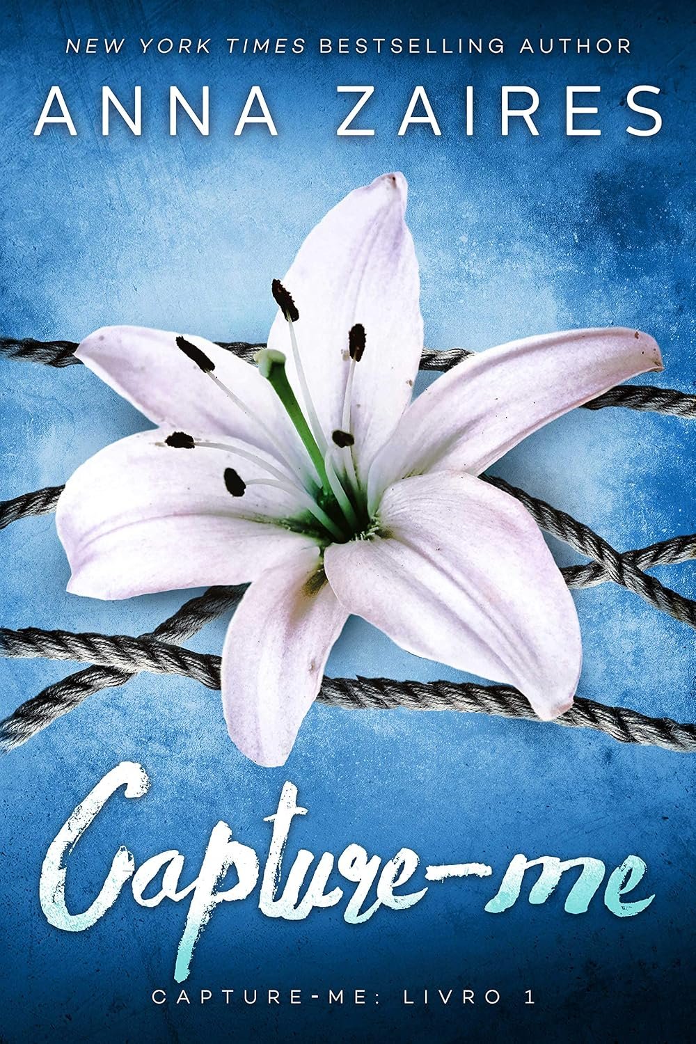 Capture-me (Portuguese Edition)