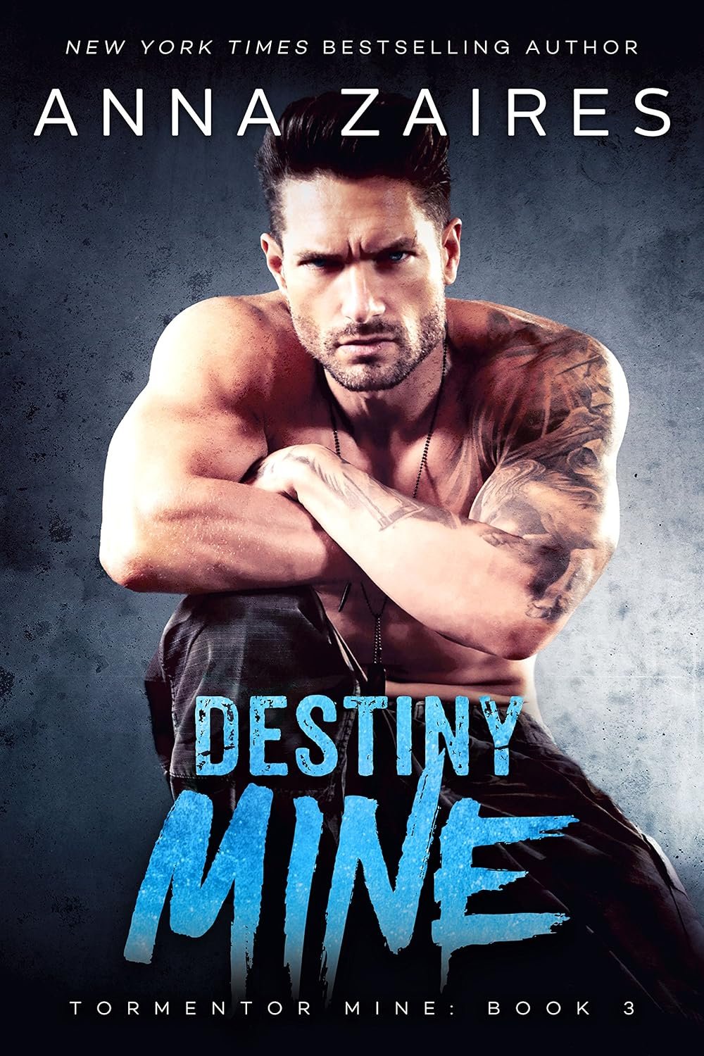 Destiny Mine (Tormentor Mine Book 3) 1 Destiny Mine (Tormentor Mine Book 3)