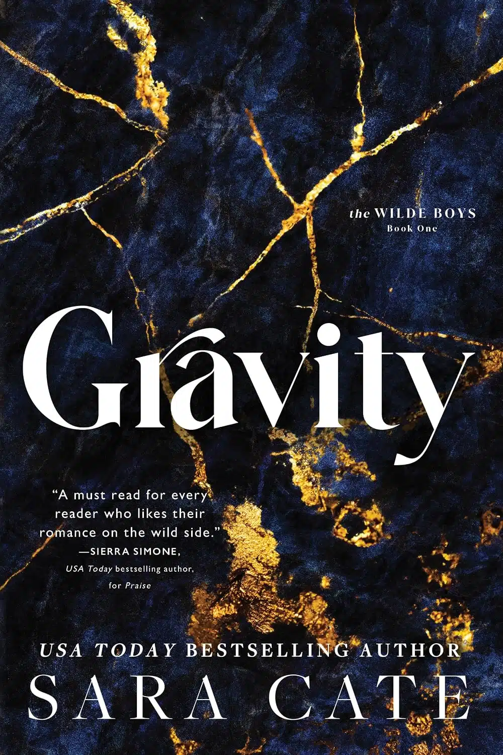 Gravity: A Billionaire Romance (The Wilde Boys Book 1)