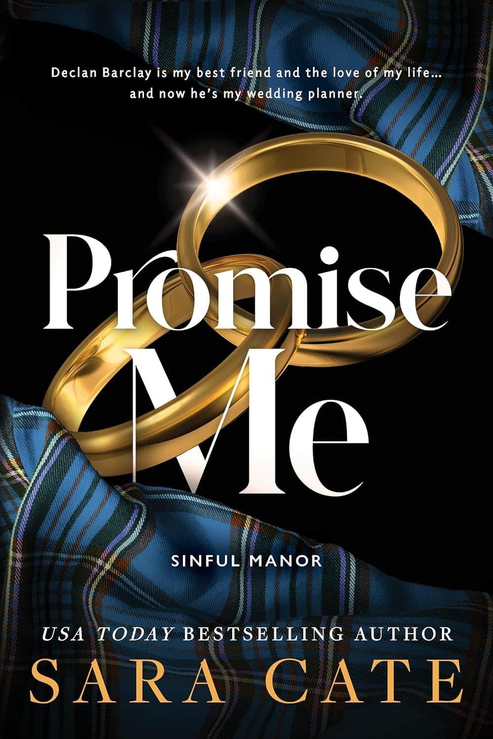 Promise Me: A Mutual Pining MM Romance (Sinful Manor Book 2)