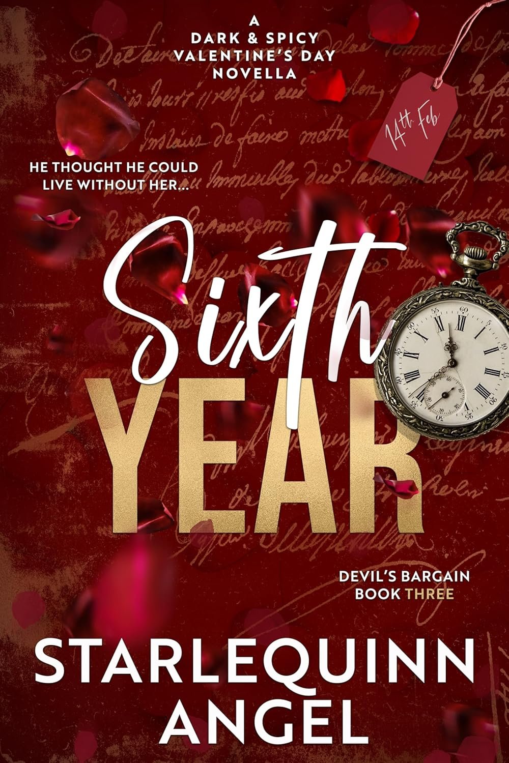 Sixth Year: A Dark & Spicy Novella (Devil's Bargain Series Book 3) 1 Sixth Year: A Dark & Spicy Novella (Devil’s Bargain Series Book 3)