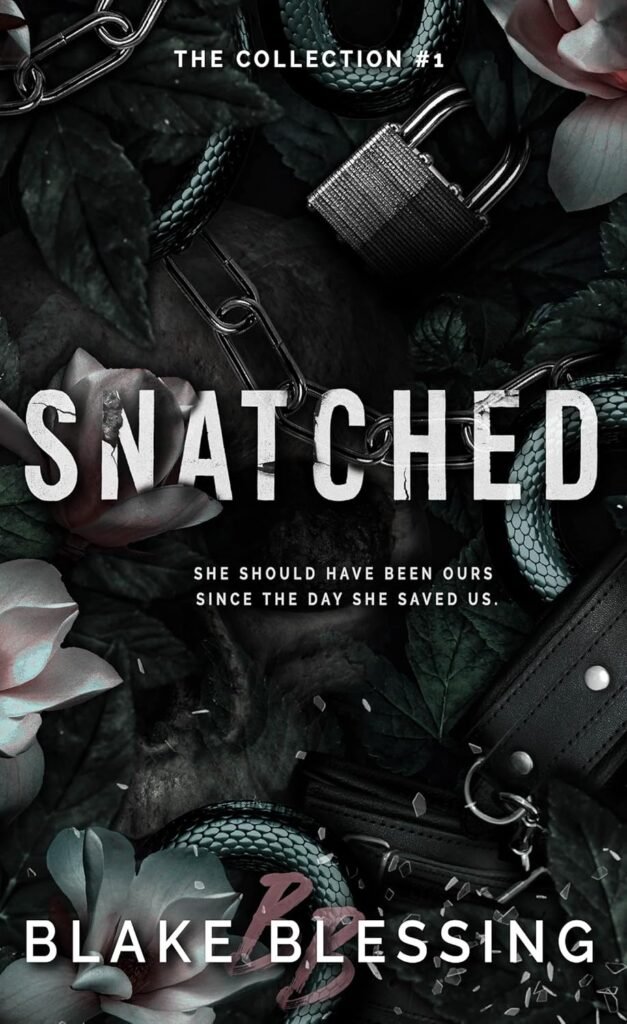 Snatched (The Collection Book 1)