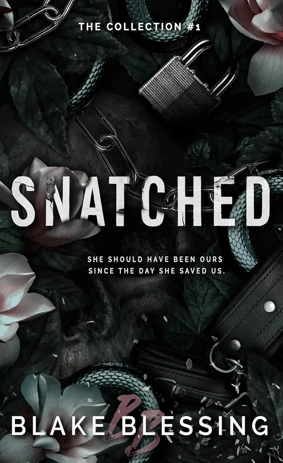 Snatched (The Collection Book 1)