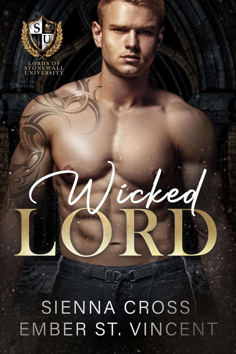 Wicked Lord: A Fake Dating Dark College Romance (Lords of Stonewall University)