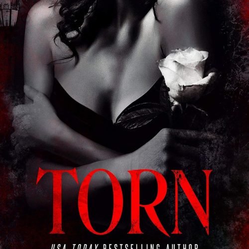 Torn (Dark Legacy Trilogy Book 2)